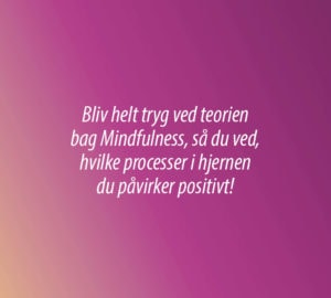 Bliv mindfulness instruktør – Mindfulness instruktør uddannelse hos Seminarer.dk