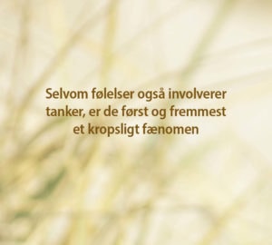 Allan Køster: Glem ikke kroppen i sorgprocessen