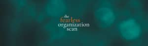 Fearless organization scan