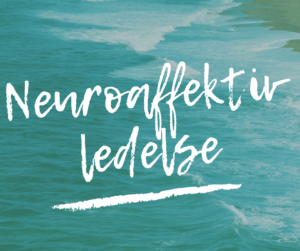 Mette tog på Neuroaffektiv Lederuddannelse: “Alle ledere burde have den som obligatorisk uddannelse”