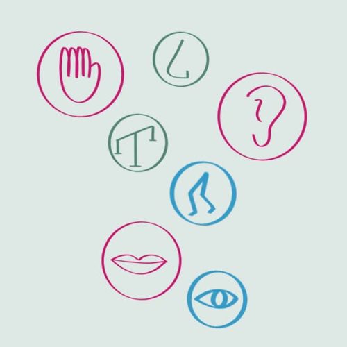 Sanseintegrationsvejleder i pædagogisk kontekst