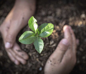 Væredygtighed: En nøglekompetence for fremtidens ledere