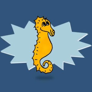 ”Du skal huske at fodre din søhest” Boganmeldelse