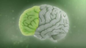 ADHD-symptomer hos voksne – Et nærmere kig på diagnosen