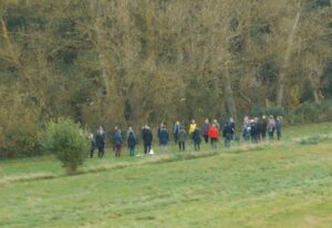 Hvad er eco therapy?