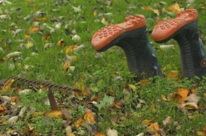 Hvad er grøn terapi?