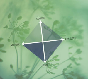 kognitiv terapi - den kognitive diamant