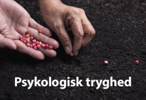 Dina & Amanda er med til at lægge kimen til psykologisk tryghed på deres arbejdsplads