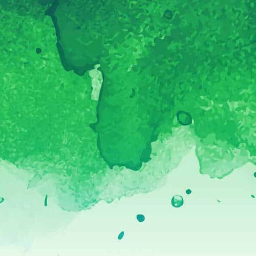 Styrk relationsarbejdet – med afsæt i kroppens intelligens og selvregulering